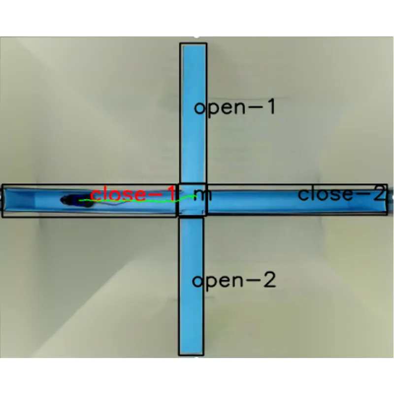Forhøyet Plus Labyrint